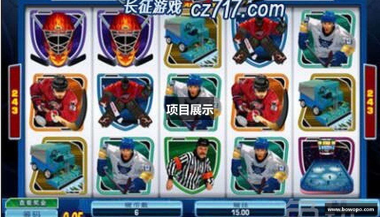 项目展示